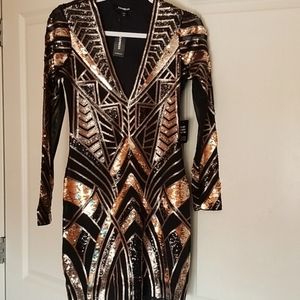 Express Sequin Dress, long sleeve, V Neck